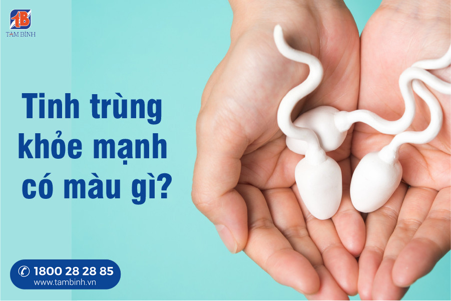 tinh trùng khỏe mạnh có màu gì