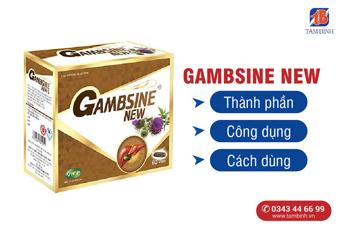 Gambsine New