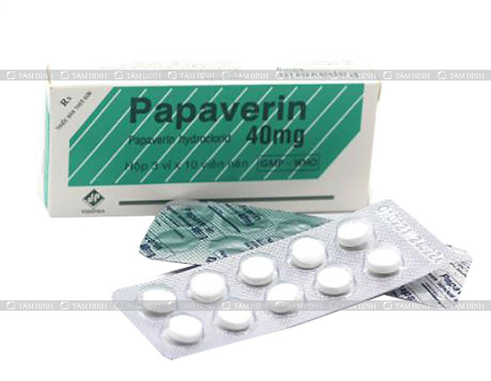 thuốc Papaverin trị viêm đại tràng co thắt