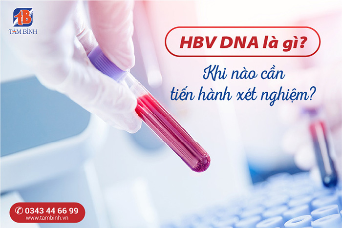 HBV DNA 