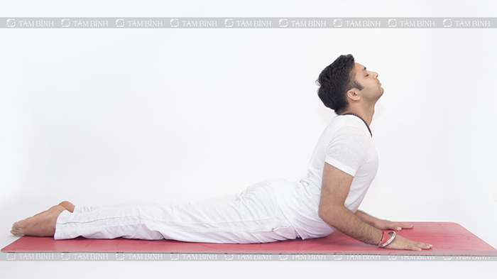 Bài tập yoga giãn cơ bụng