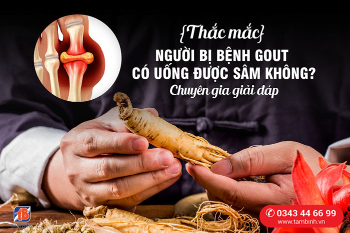 Gout có thể uống sâm không?