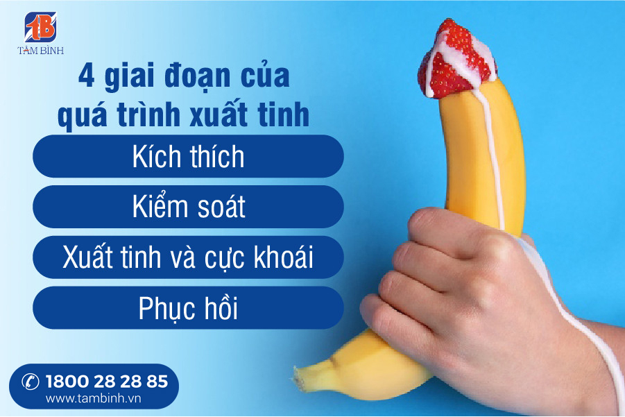 các giai đoạn xuất tinh