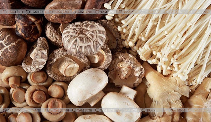 Các loại nấm tốt cho xương khớp