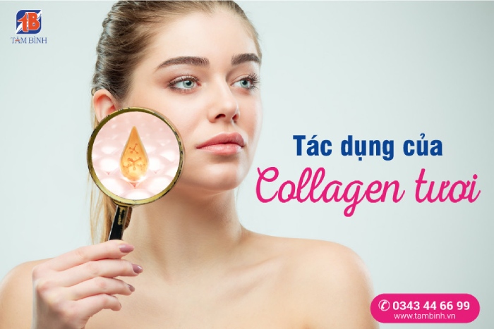 Tác dụng của collagen tươi