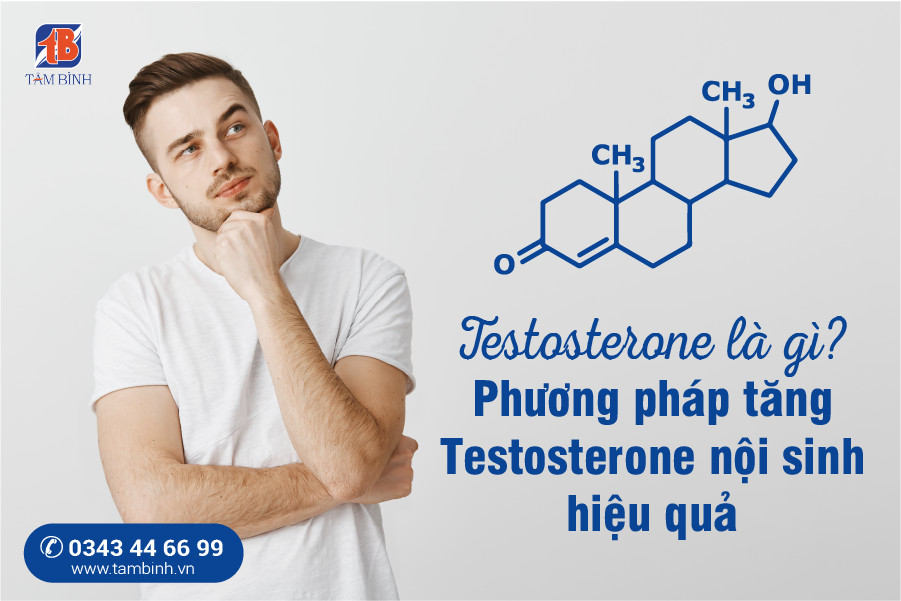 testosterone là gì