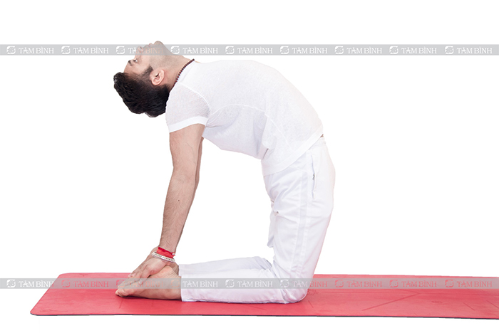 Tư thế con lạc đà Bài tập yoga tăng tuần hoàn não