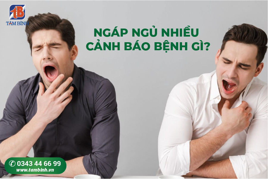 ngáp ngủ nhiều là bệnh gì