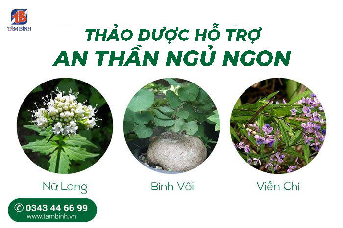 thảo dược an thần ngủ ngon