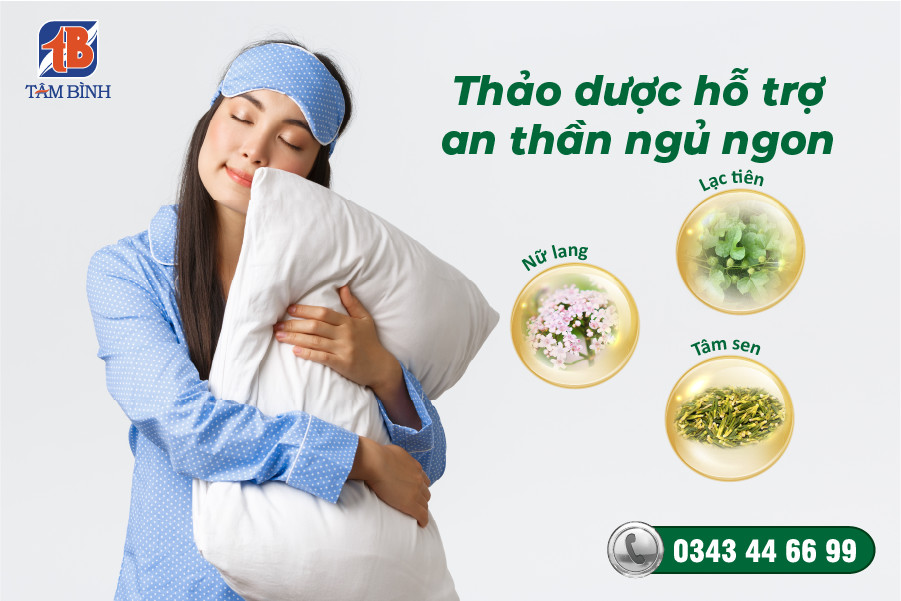 thảo dược an thần ngủ ngon