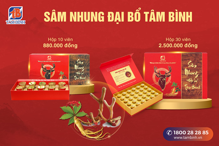 Hai loại Sâm nhung Đại bổ Tâm Bình