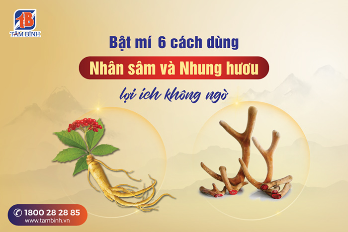 cách dùng Nhân sâm và Nhung hươu hiệu quả