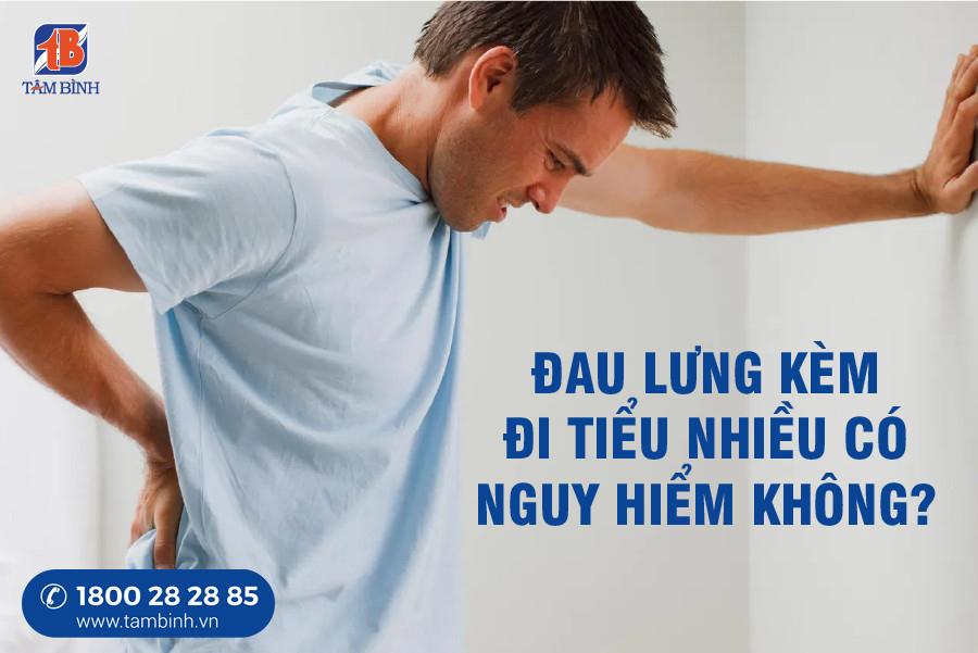 đau lưng kém đi tiểu nhiều có nguy hiểm không