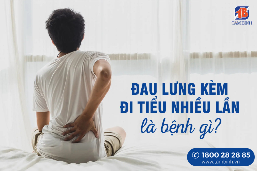 đau lưng kèm đi tiểu nhiều