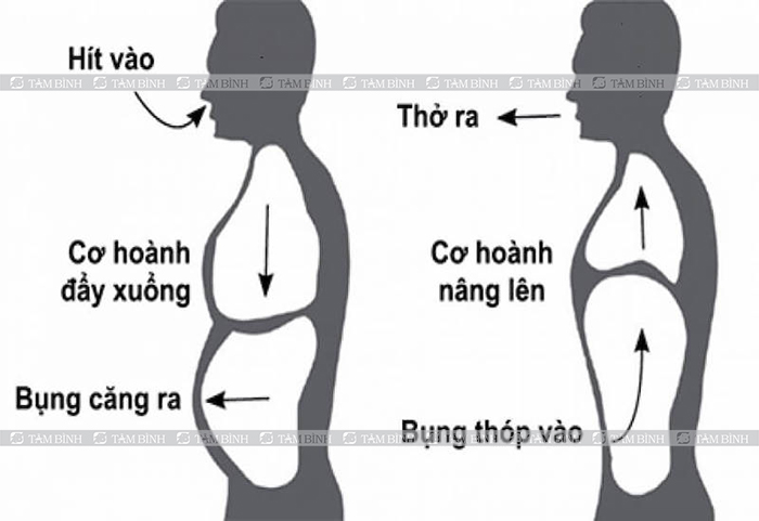 Bài tập hít thở cho người cao tuổi