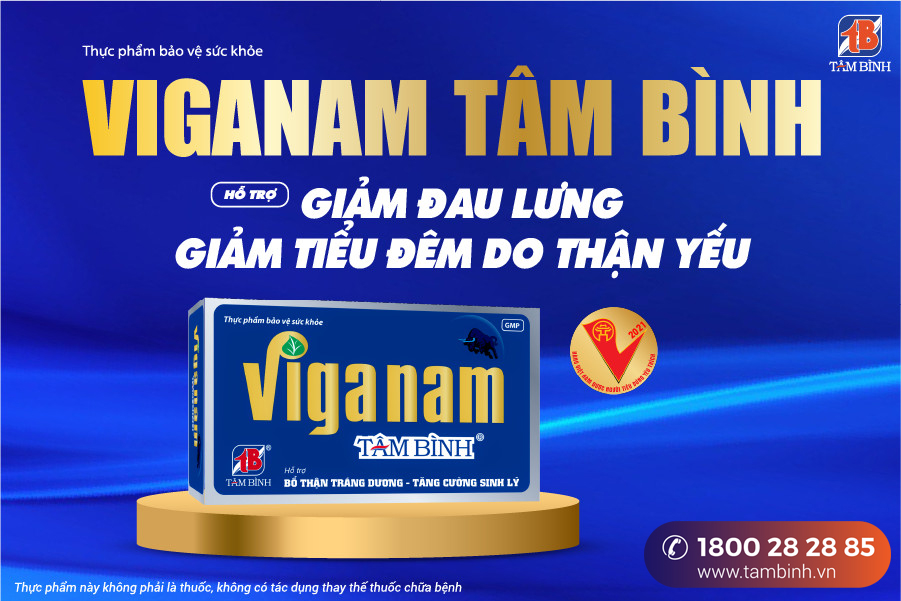 viganam tâm bình