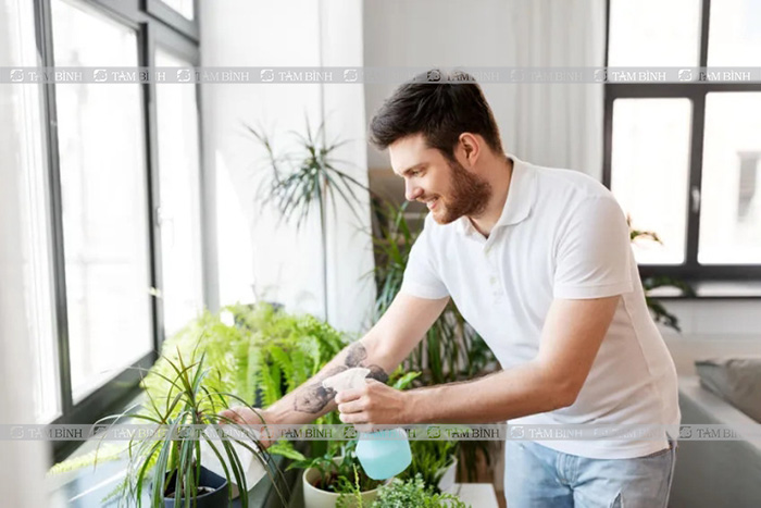 chăm sóc cây giúp giảm stress