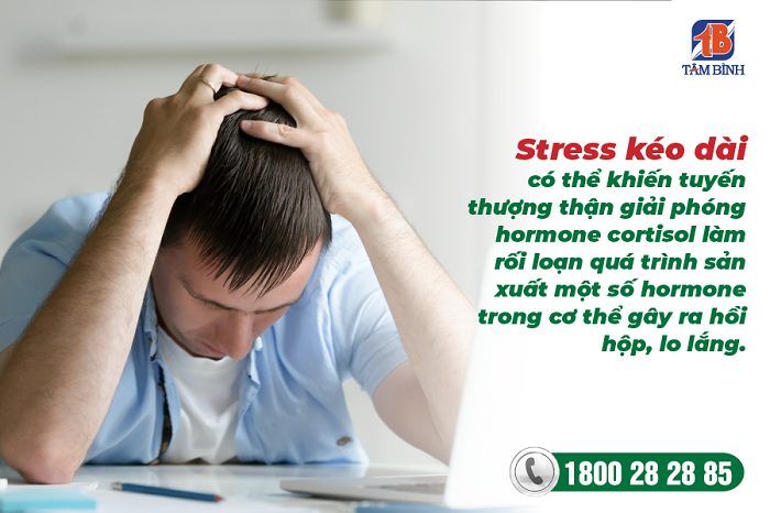 Stress kéo dài có thể là nguyên nhân dẫn đến lo lắng, hồi hộp