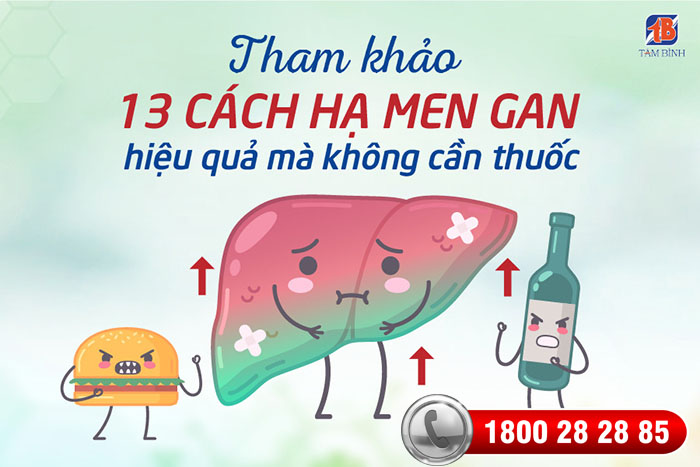 cách hạ men gan 