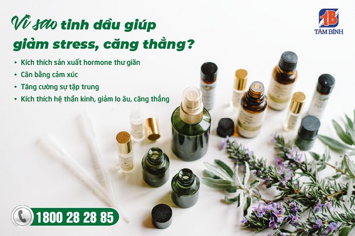 Vì sao tinh dầu giúp giảm stress?