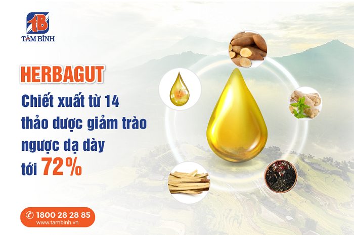 Herbagut - chiết xuất cải thiện bệnh trào ngược dạ dày, tiêu hóa