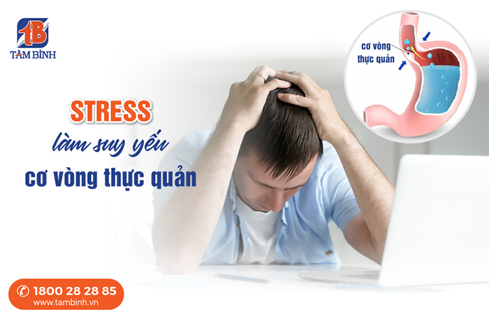 Nguyên nhân stress gây trào ngược dạ dày