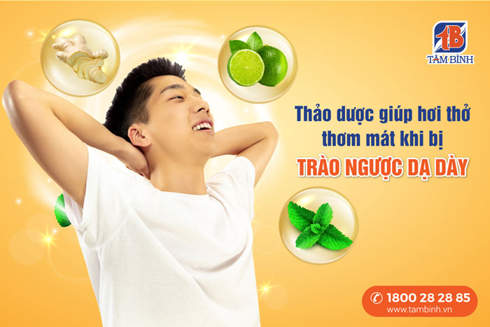 thảo dược trị trào ngược dạ dày gây hôi miệng