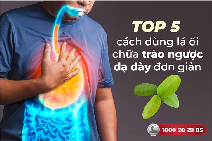 Tác dụng của lá ổi đối với trào ngược dạ dày