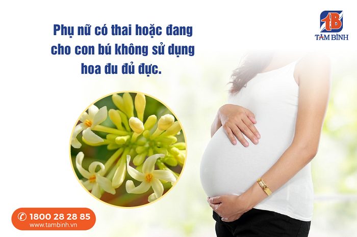 Phụ nữ có thai không nên dùng hoa đu đủ đực 