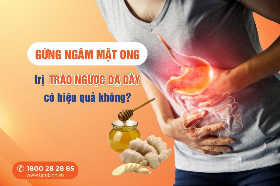 gừng ngâm mật ong trị trào ngược dạ dày