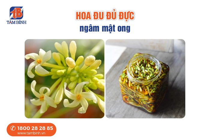 Hoa đu đủ đực ngâm mật ong 