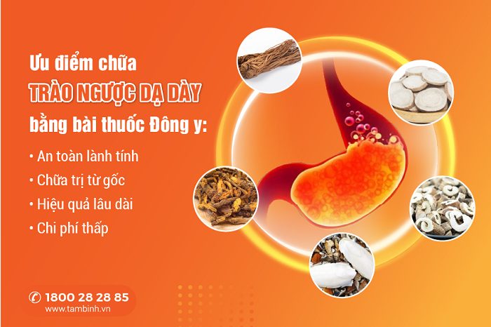 Khám phá 12 bài thuốc đông y chữa trào ngược dạ dày hiệu quả bất ngờ!