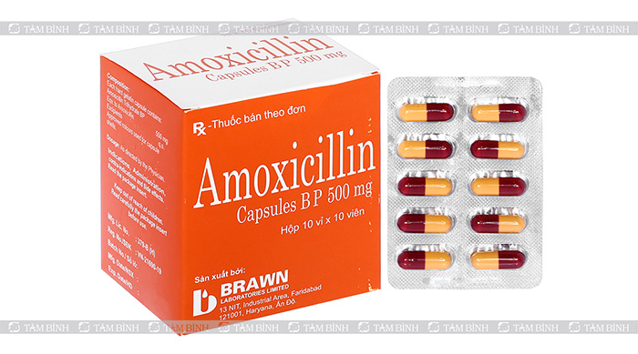 Amoxicillin - Kháng sinh sử dụng trong trường hợp nhiễm khuẩn HP 