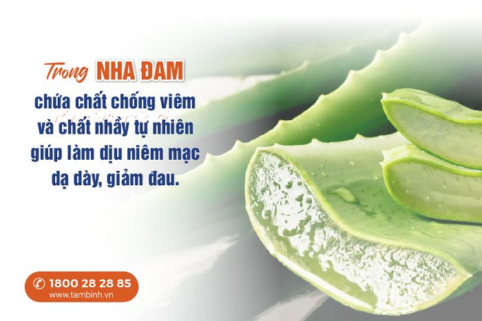 Uống nước nha đam cũng làm dịu cơn đau dạ dày 
