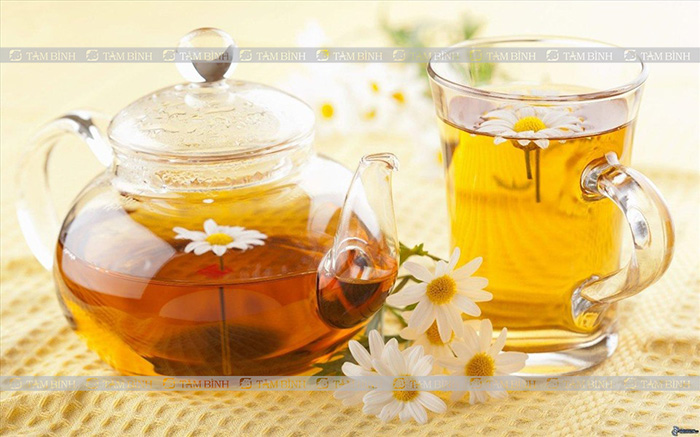 Uống trà hoa cúc giảm triệu chứng viêm loét dạ dày 
