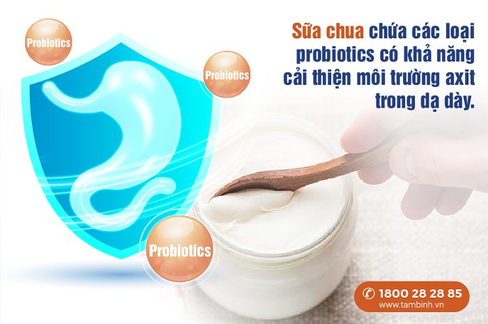 Sữa chua cải thiện môi trường axit dạ dày 