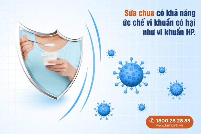 Sữa chua cũng có tác dụng ức chế vi khuẩn HP