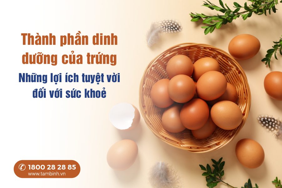 lợi ích của trứng