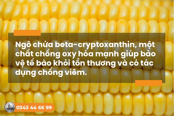 Trào ngược dạ dày ăn ngô luộc được không? Cách ăn an toàn nhất