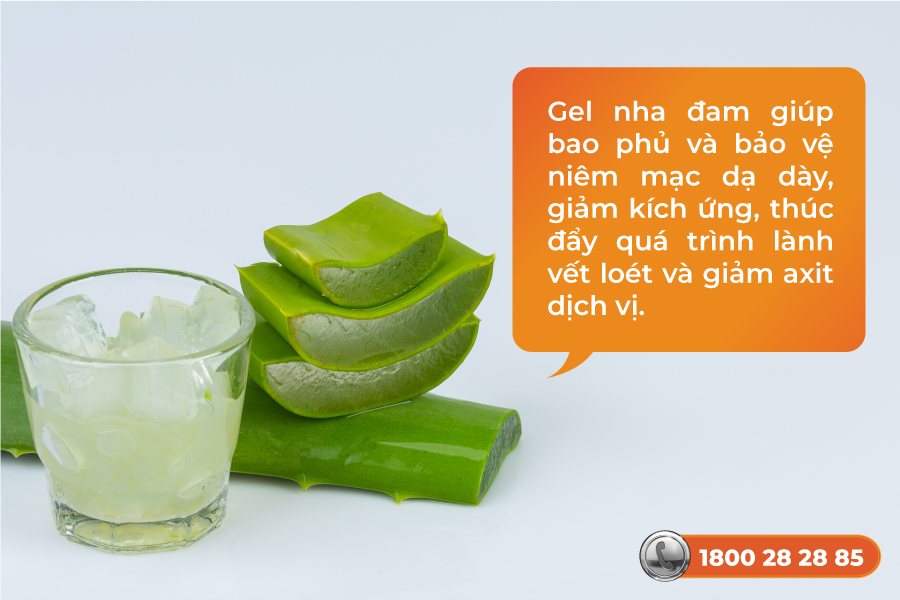 Cây thuốc Nam chữa viêm loét dạ dày tá tràng – Top 10 loại dễ kiếm quanh nhà