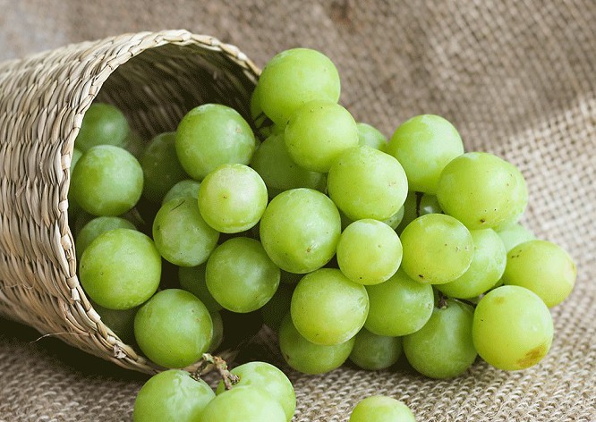 Trào ngược dạ dày ăn nho được không? 5 lưu ý quan trọng cần nhớ