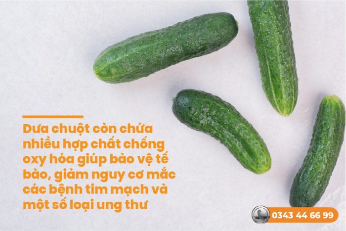 Trào ngược dạ dày có nên ăn dưa chuột không? Hướng dẫn từ chuyên gia
