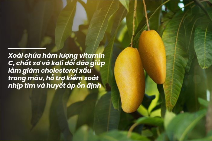 Trào ngược dạ dày ăn xoài chín được không? Giải đáp chi tiết Trào ngược dạ dày ăn xoài chín được không? Giải đáp chi tiết