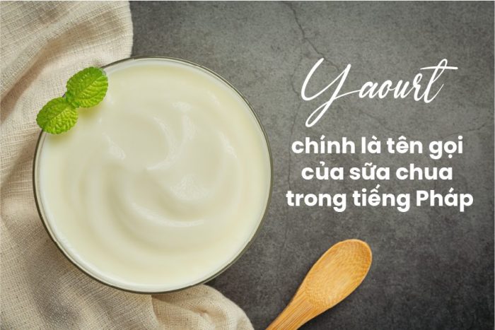 Trào ngược dạ dày ăn yaourt được không? Khi nào cần kiêng tuyệt đối?