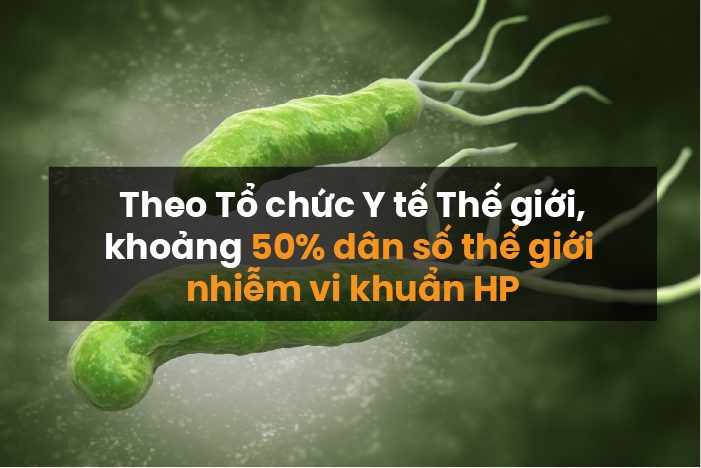 Cách chữa vi khuẩn HP tại nhà an toàn hiệu quả - cực dễ áp dụng! Cách chữa vi khuẩn HP tại nhà an toàn hiệu quả - cực dễ áp dụng!