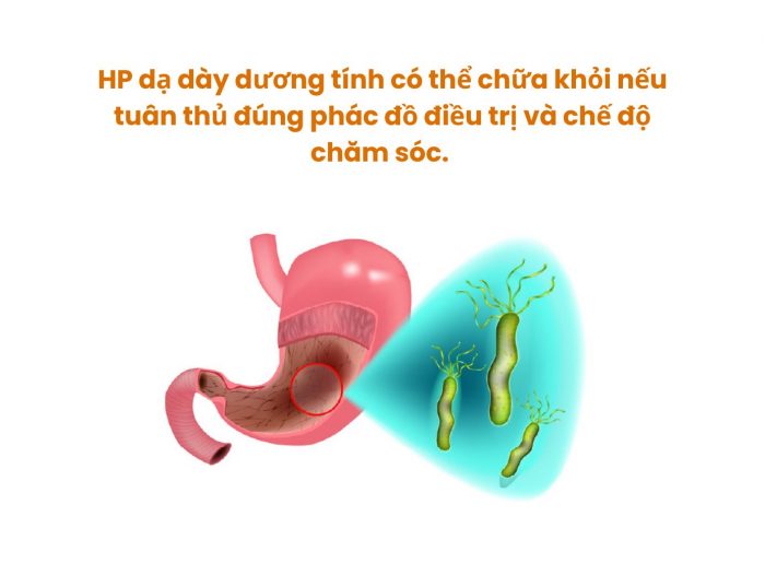 HP dạ dày dương tính có nguy hiểm không? Kiêng gì tránh biến chứng? HP dạ dày dương tính có nguy hiểm không? Kiêng gì tránh biến chứng?